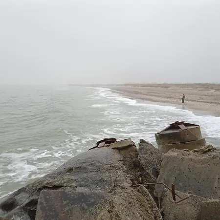 Charming Near - By Traum *